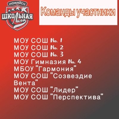  Можайский муниципальный округ присоединяется к проекту «Единая школьная лига»